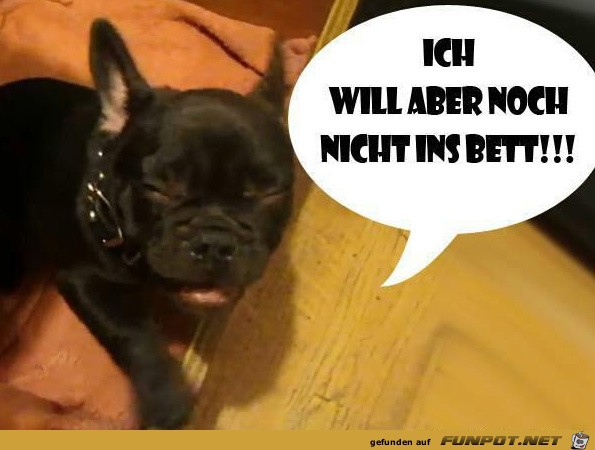 ich will aber noch nicht ins Bett