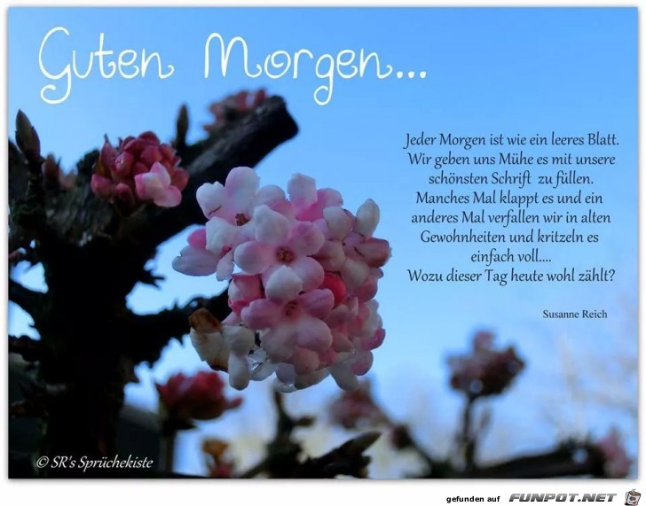 Jeder Morgen