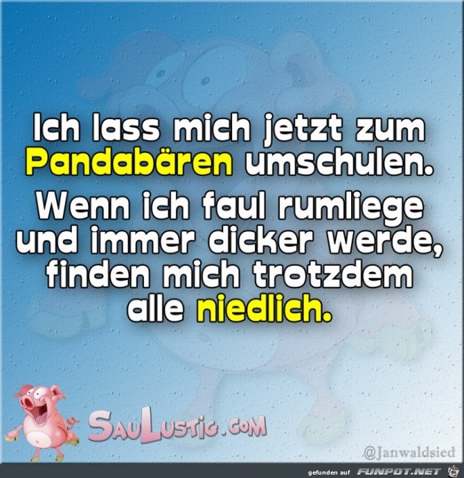 Zum Pandabaeren umschulen Zum Pandabaeren umschulen