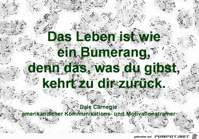 Bumerang Bumerang