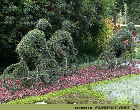 Gartenkunst - oder die Kunst mit Pflanzen umzugehen