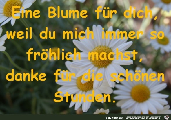 tulpe-fuer-dich