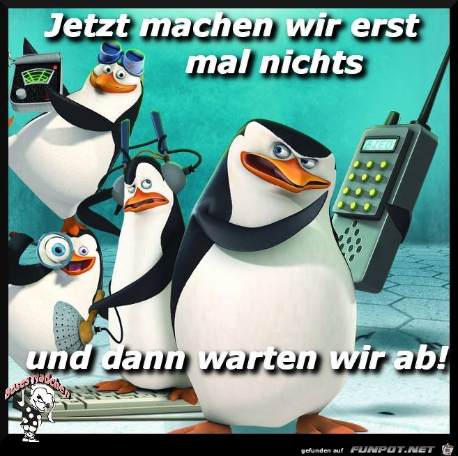 witzige Bilder aus verschiedenen Blogs