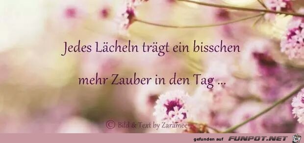 Jedes Lächeln Jedes Lächeln