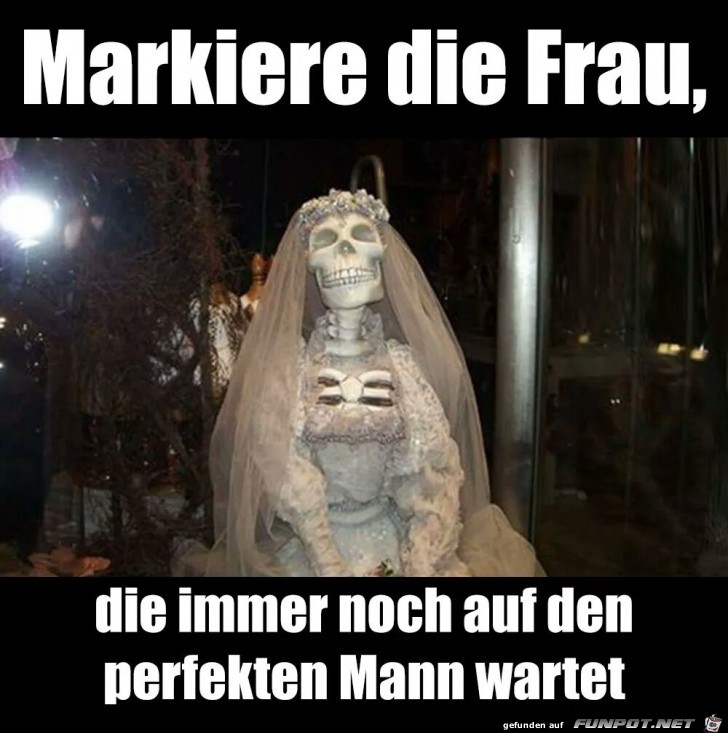perfekter Mann perfekter Mann