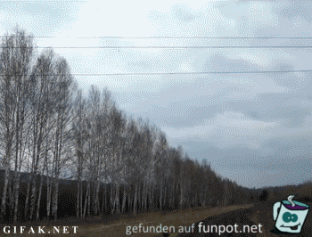 1285749 1285749