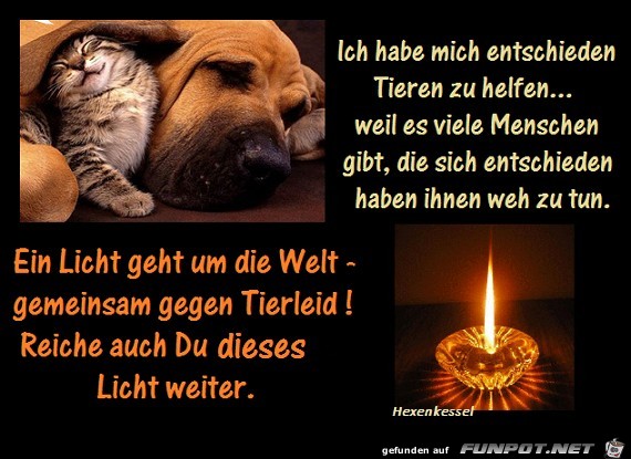 Den Tieren helfen Den Tieren helfen