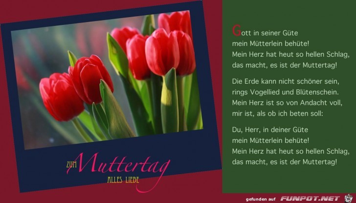 Spruch Muttertag Spruch Muttertag