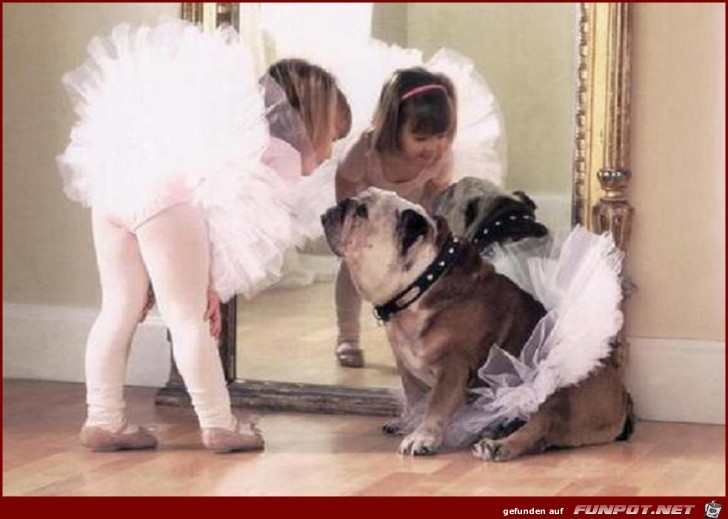 Ballerinas Ballerinas