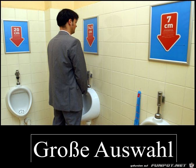 grosse Auswahl