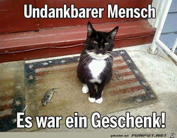 Geschenk Geschenk