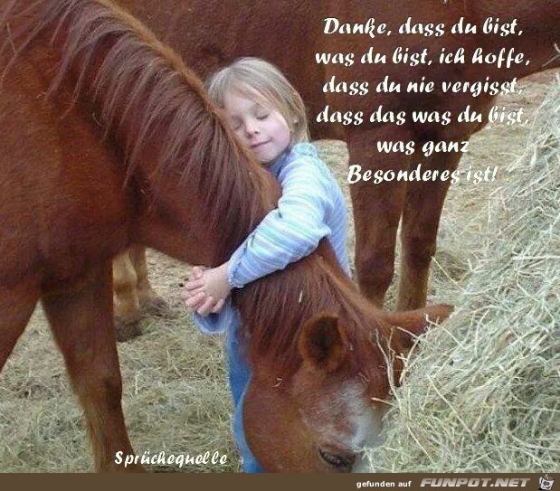 danke dass du bist danke dass du bist