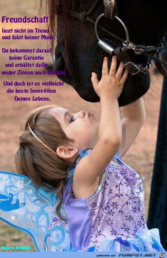 Freundschaft Freundschaft