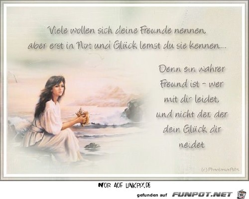 viel wollen sich deine freunde viel wollen sich deine freunde