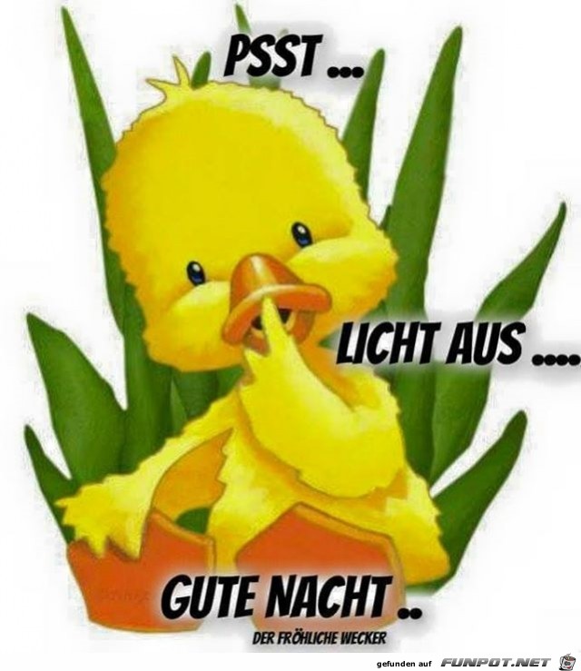 Licht Licht
