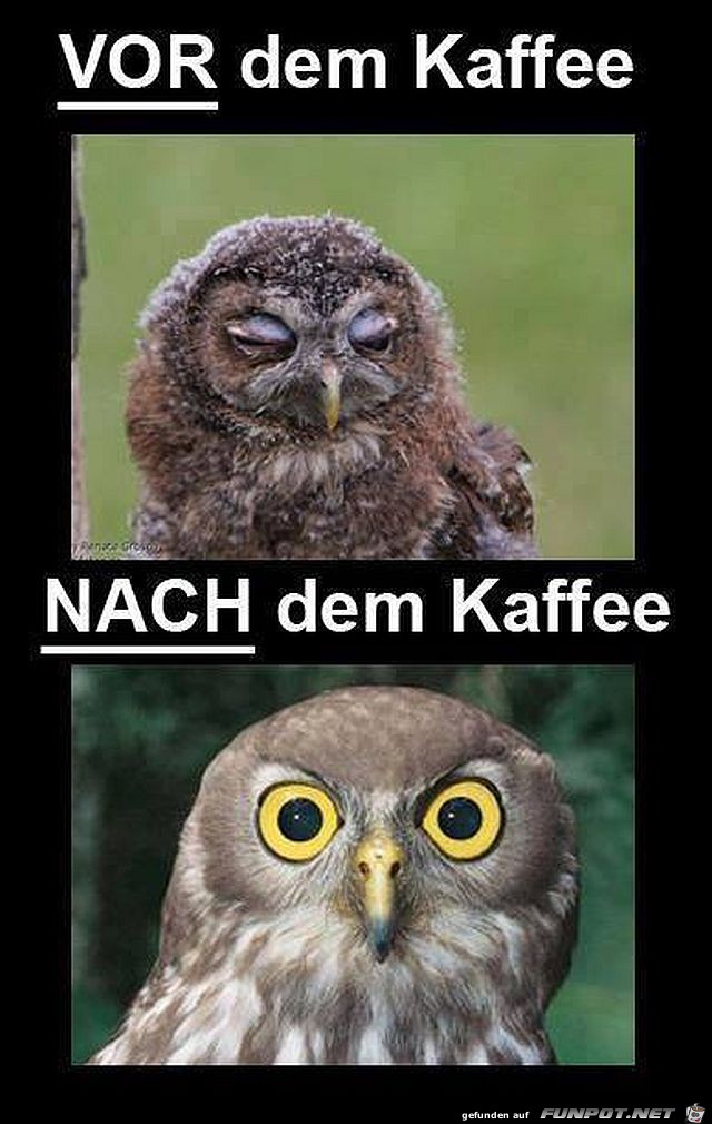 vor dem Kaffee