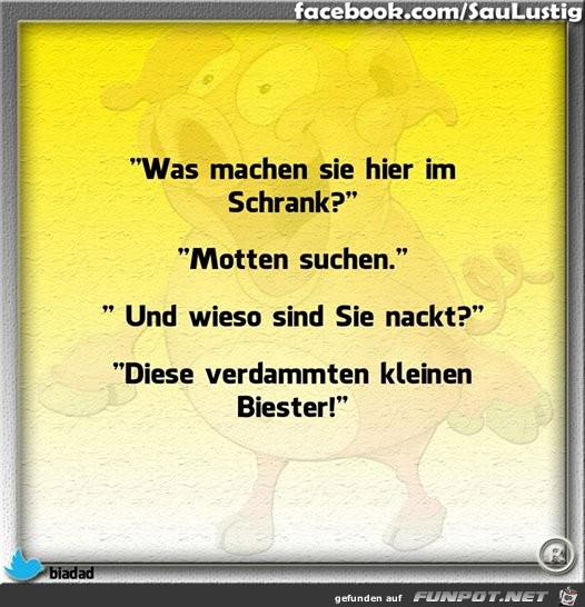 Motten5 Motten5