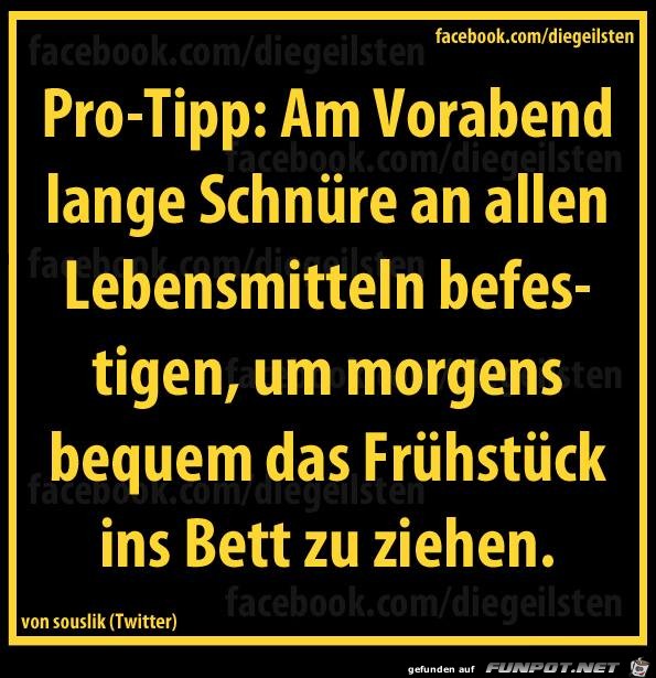 diegeilsten Schnuere diegeilsten Schnuere