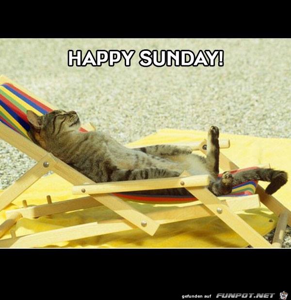 Happy-Sunday Happy-Sunday