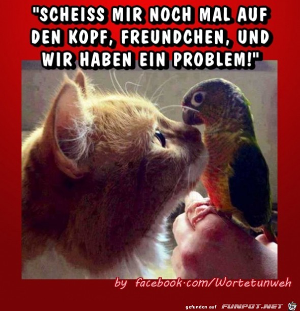 problem problem
