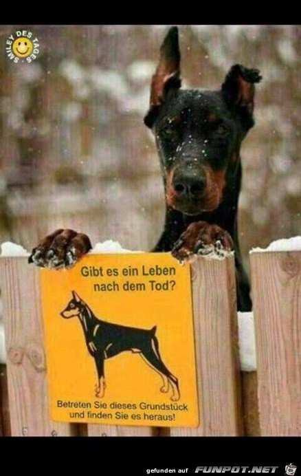 Warnschild Warnschild