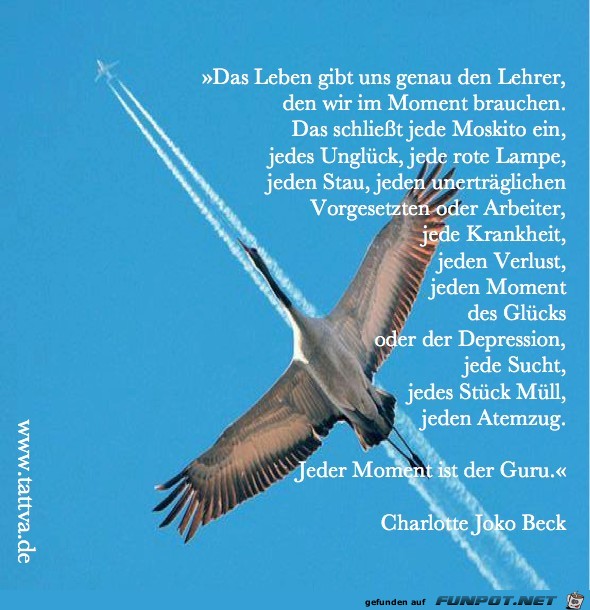 Da Leben gibt uns genau Da Leben gibt uns genau