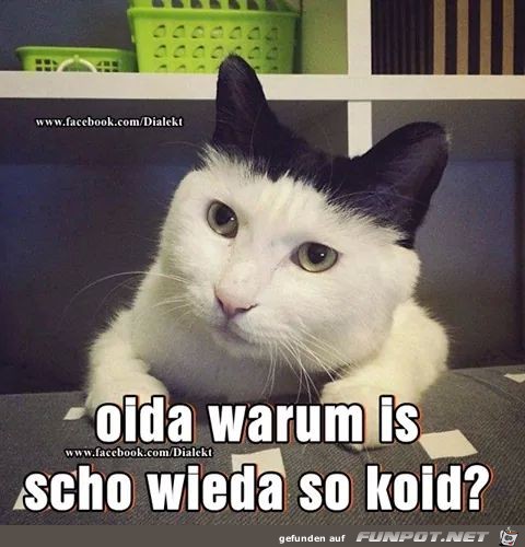 warum ist es schon wieder so kalt