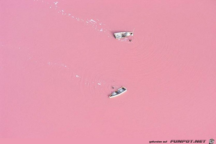 image007 image007