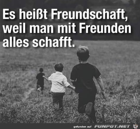 Freundschaft 6