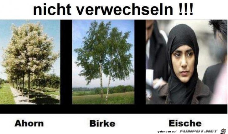 verwechslungsgefahr verwechslungsgefahr