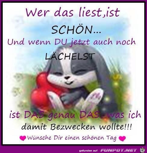 wer das liest und laechelt ist schoen wer das liest und laechelt ist schoen