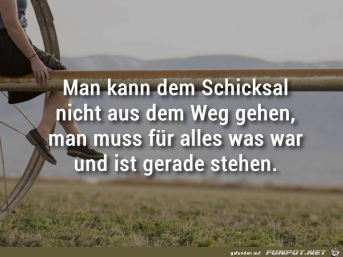 Man kann dem Schicksal