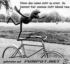 nicht zu ernst nicht zu ernst