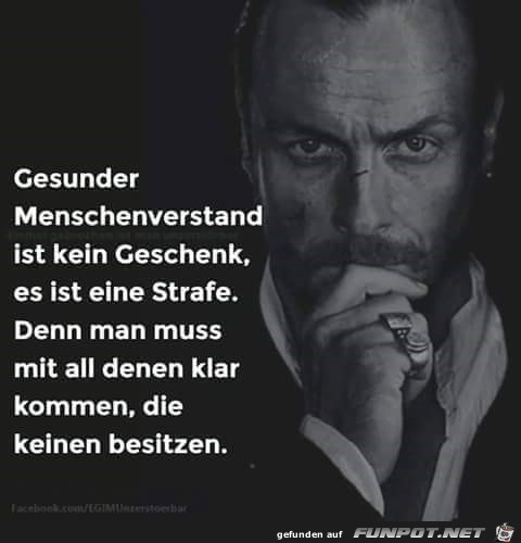 Menschenverstand