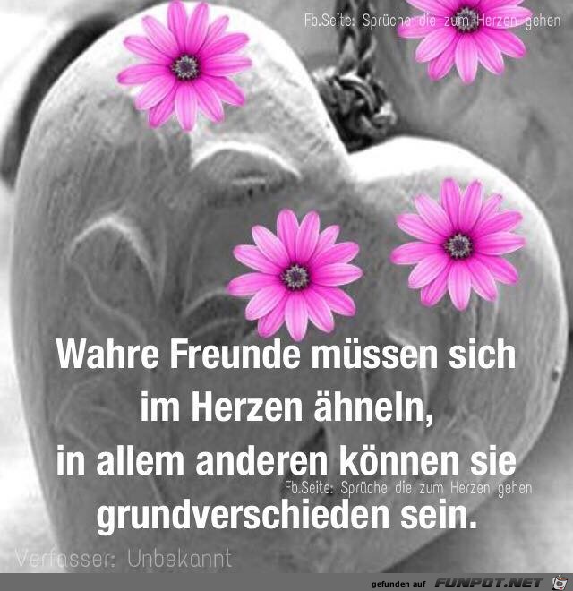 Wahre Freunde