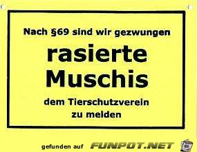 rasierte Muschis