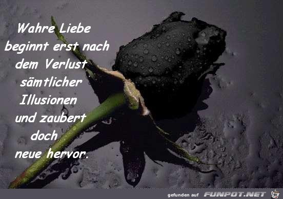 wahre Liebe 