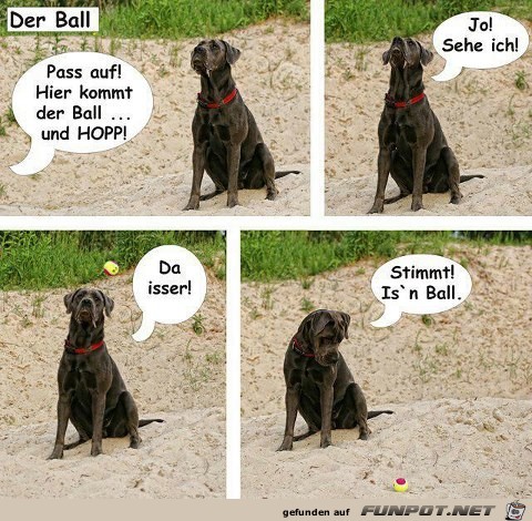 Der Ball Der Ball