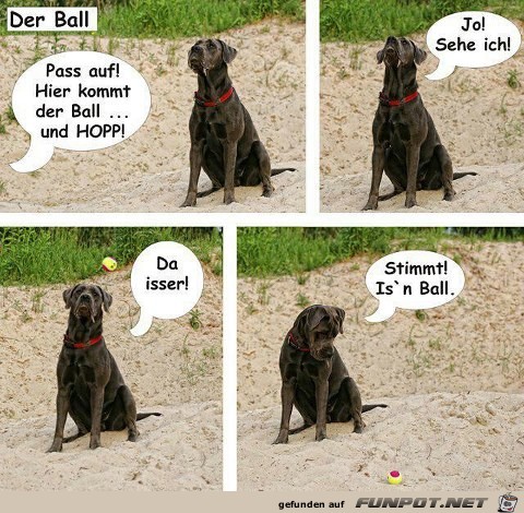 Der Ball