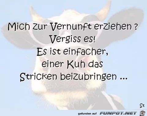 Vernunft Vernunft