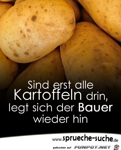 bauernspruch-sind-erst-alle-kartoffeln-drin-legt-sich-der-ba