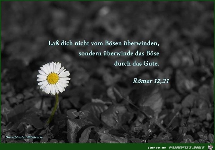 Roemer 12 21 Roemer 12 21
