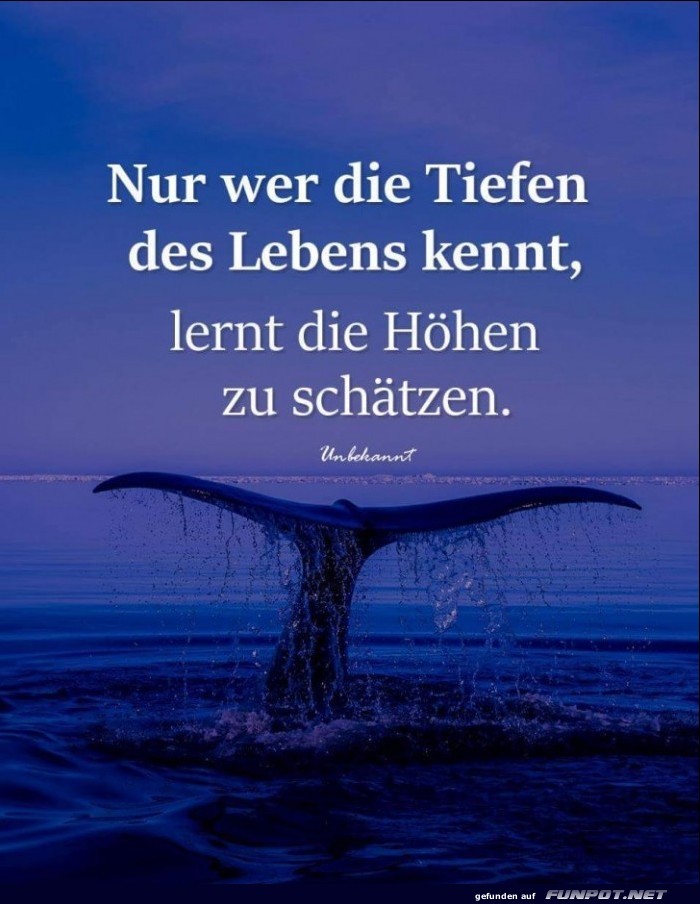 nur wer die Tiefen