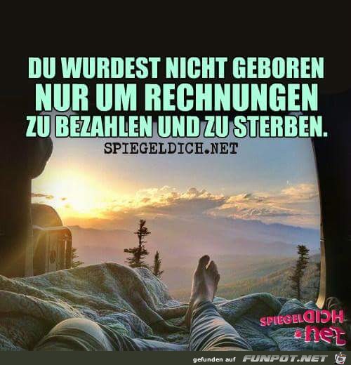 Rechnungen Rechnungen