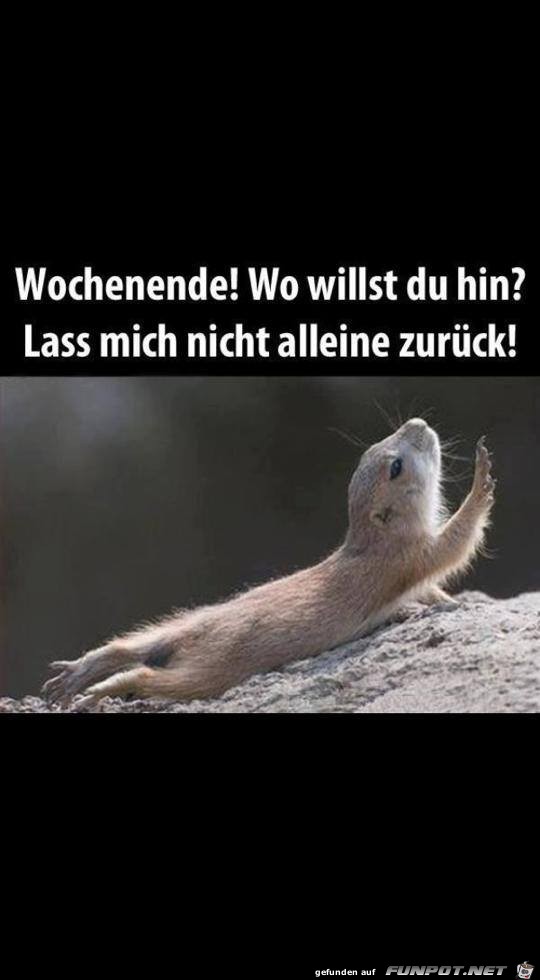 Wochenende! Wo willst du hin?