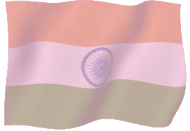 india india