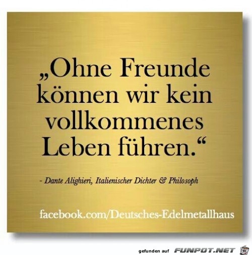 ohne Freunde ohne Freunde