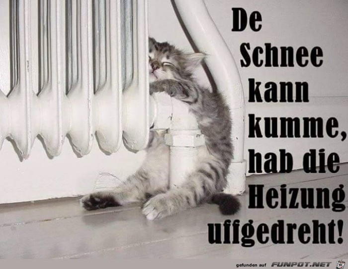 Schnee Schnee