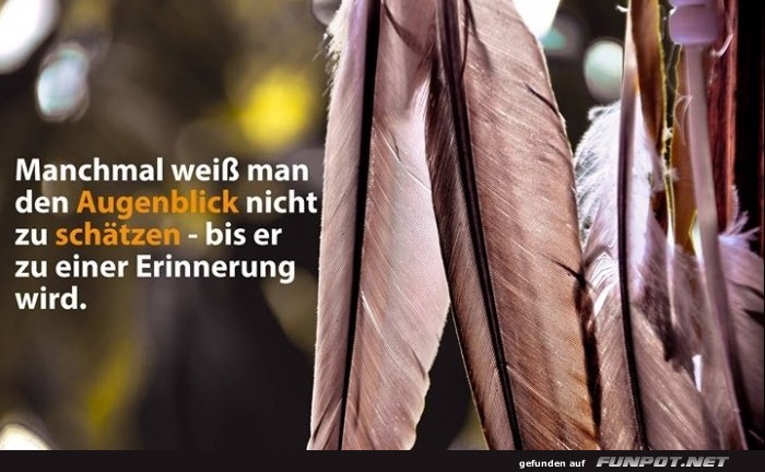 10 sch�ne Spr�che und Lebensweisheiten aus...