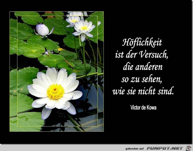 haeoeflichkeit haeoeflichkeit